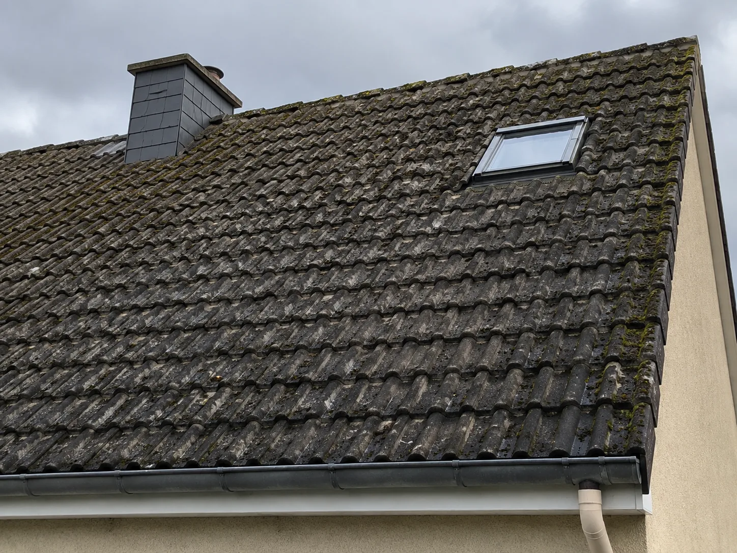 Nettoyage & traitement avant travaux à Meyrin