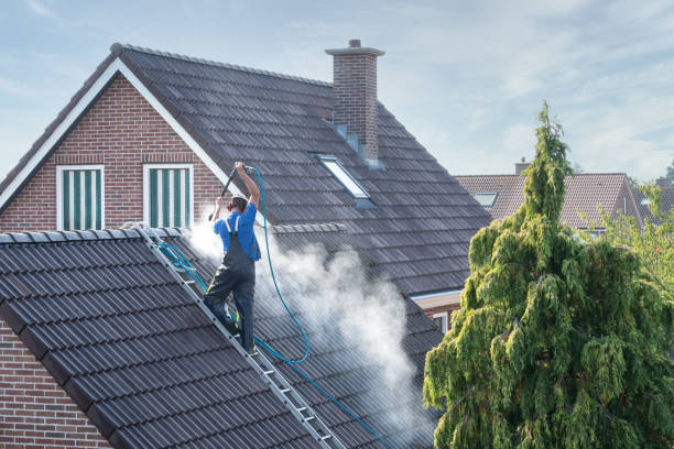 Nettoyage des tuiles de toiture à Genève