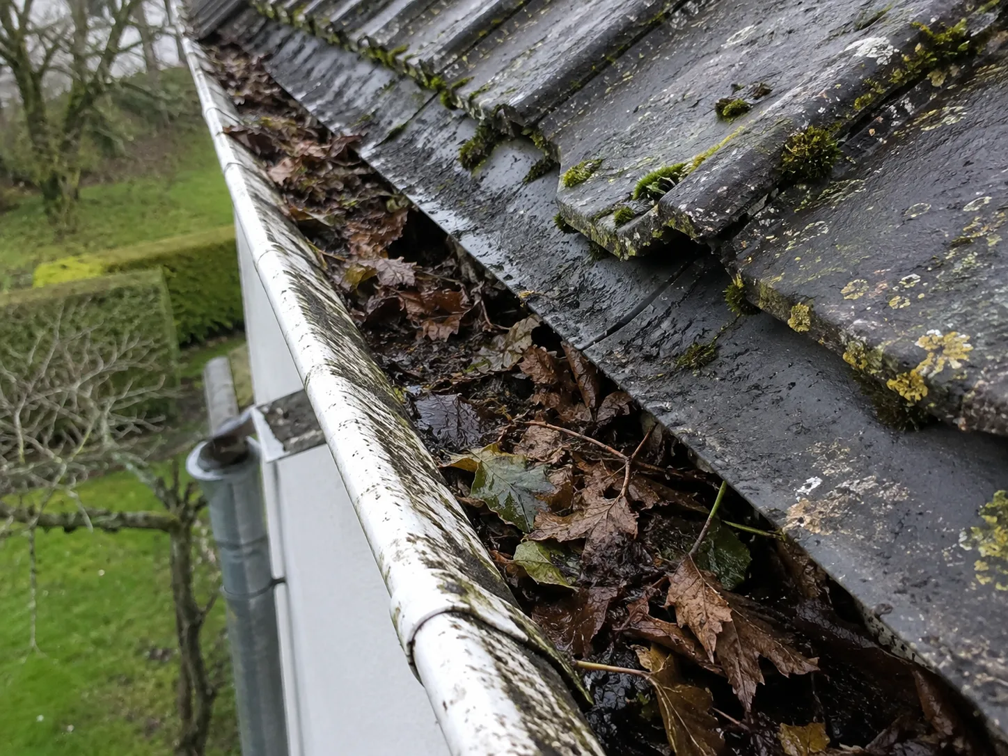 Nettoyage de gouttière avant travaux à Onex